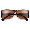 Sunglass Spot