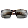 Sunglass Spot Aviator